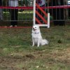 foire-haricots 2011-09-17et18